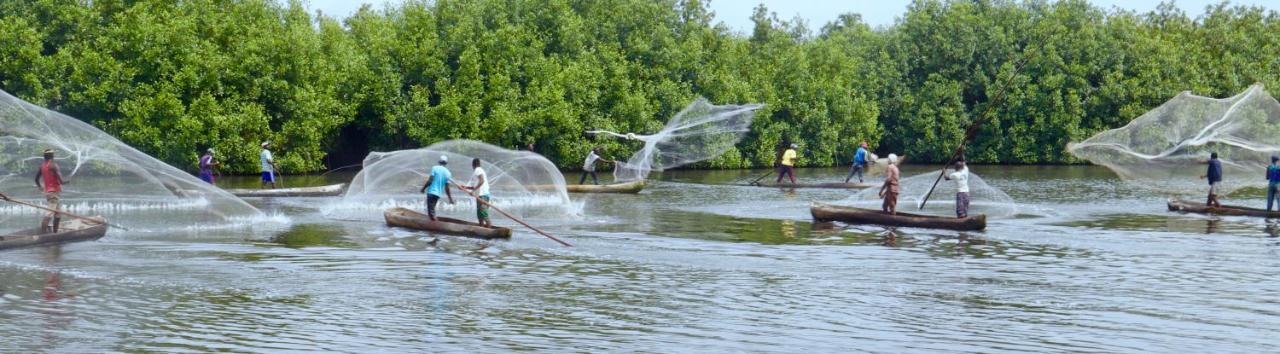 Dolce Ouidah Lodge المظهر الخارجي الصورة